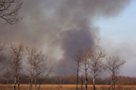 Klimatické změny některým ptákům svědčí Klimatické změny některým ptákům svědčí