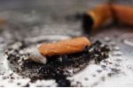 12 rad pro kuřáky, kteří právě típli poslední cigaretu
