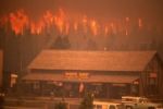 Jak se Yellowstone obnovuje po obrovském požáru? Podívejte se