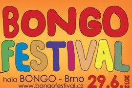 Bombarďákfest aneb Bongo festival 2012