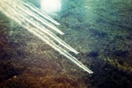 USA pomohou Vietnamu od dědictví války: herbicidu Agent Orange USA pomohou Vietnamu od dědictví války: herbicidu Agent Orange