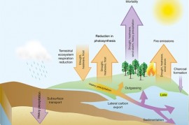Klimatické změny způsobují extrémní sucha. A sucha zase zhoršují oteplování Klimatické změny způsobují extrémní sucha. A sucha zase zhoršují oteplování