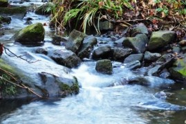 Potok Hučina už zase patří divoké přírodě Potok Hučina už zase patří divoké přírodě
