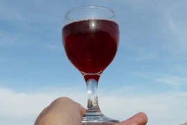 Svatomartinská vína ročníku 2014 jsou vybrána Svatomartinská vína ročníku 2014 jsou vybrána