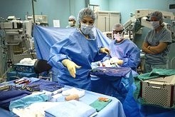 Rok 2014 byl nejúspěšnější rok české transplantologie Rok 2014 byl nejúspěšnější rok české transplantologie
