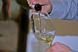 Sklepmistr: Svatomartinské víno je ryze českou tradicí