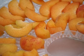 Kvalitní sušička potravin vám díru do rozpočtu udělat nemusí Kvalitní sušička potravin vám díru do rozpočtu udělat nemusí