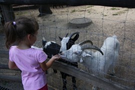 Návštěvní řád vás může překvapit i v ZOO Návštěvní řád vás může překvapit i v ZOO