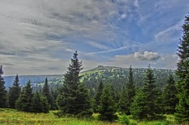 Evropské peníze pomohou jedinečné horské přírodě na Pradědu Evropské peníze pomohou jedinečné horské přírodě na Pradědu
