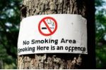 New York zakázal kouření v parcích a na náměstích