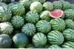Farmáři v Číně použili nesprávně akcelerátor růstu, vybuchují jim melouny