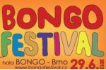 Bombarďákfest aneb Bongo festival 2012 