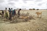 Etiopie: Osm hodin na cestě kvůli 20 litrům pitné vody