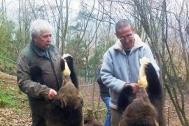 The Bears settled in the castle Tocník