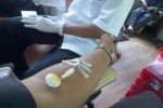 Krevní plazma: darovat, či nedarovat?