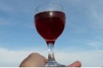 Červené víno ženám prospívá. Je zdrojem rozptýlení, napomáhá spontánnímu početí