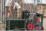 Zoo Praha: Orangutan Pagy se vrátil po pěti letech domů
