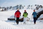 Vysokohorská turistika a výlety na sněžnicích