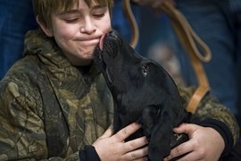 Getting a guide dog? The role of personality and needs