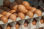 Jak poznat čerstvá vejce? Ve vodě klesnou ke dnu