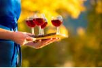 Vyrazte za skvělým vínem do Jižního Tyrolska