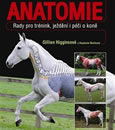 Pohyb a výkon koně anatomie