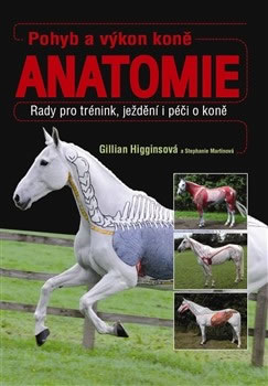 obrázek Pohyb a výkon koně anatomie