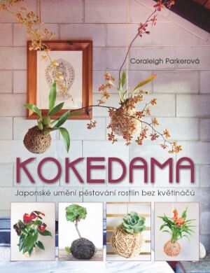 obrázek Kokedama